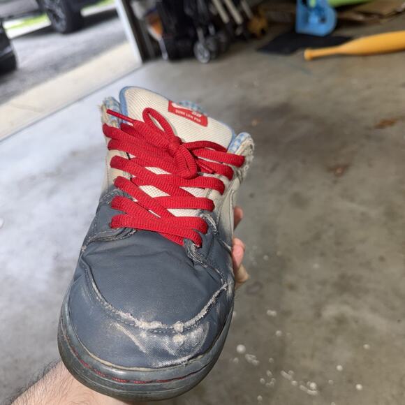 Size 11.5 - Nike Dunk Premium SB Low Dorothy main image 12